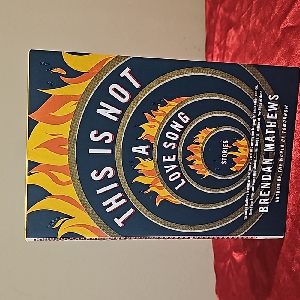 This is not a love song - New Book